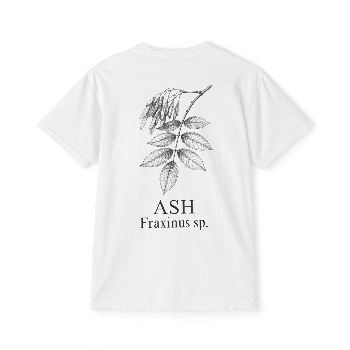 Ash Pocket Tee - Sample Series