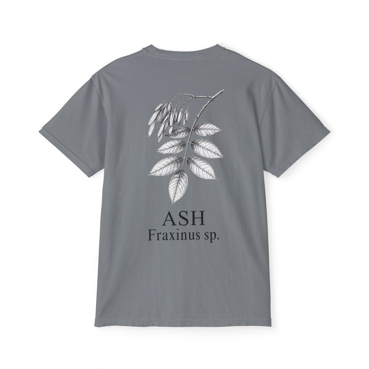 Ash Pocket Tee - Sample Series