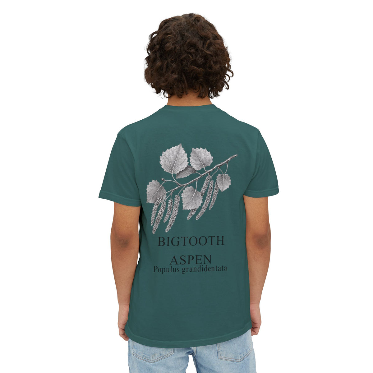 Bigtooth Aspen Pocket Tee - Sample Series