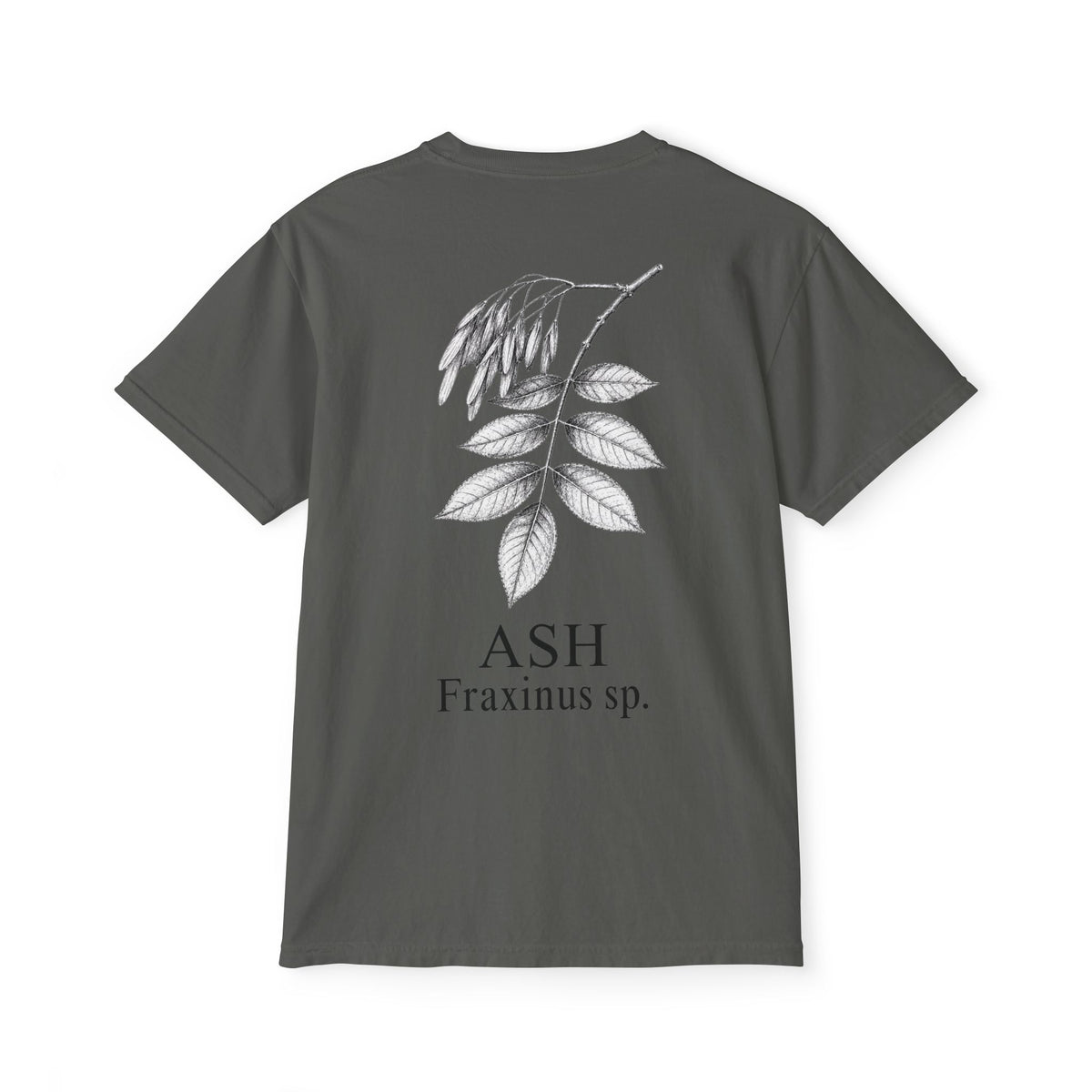 Ash Pocket Tee - Sample Series