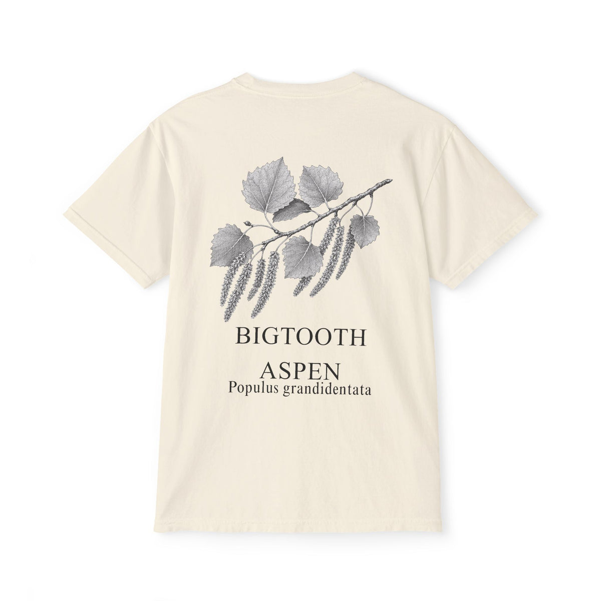 Bigtooth Aspen Pocket Tee - Sample Series