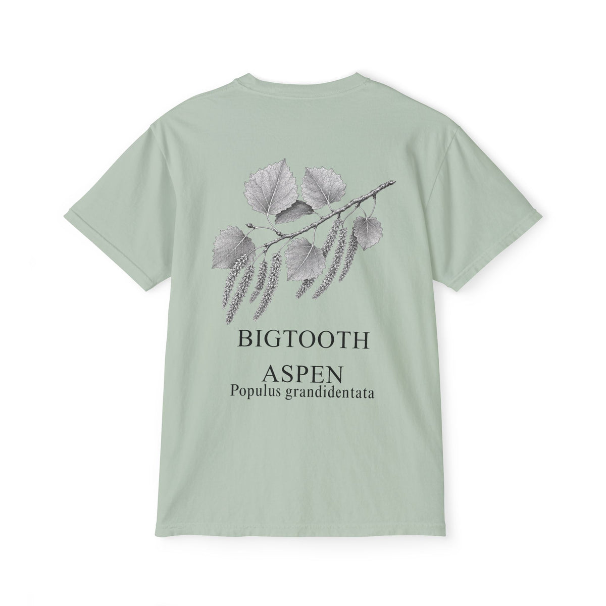 Bigtooth Aspen Pocket Tee - Sample Series