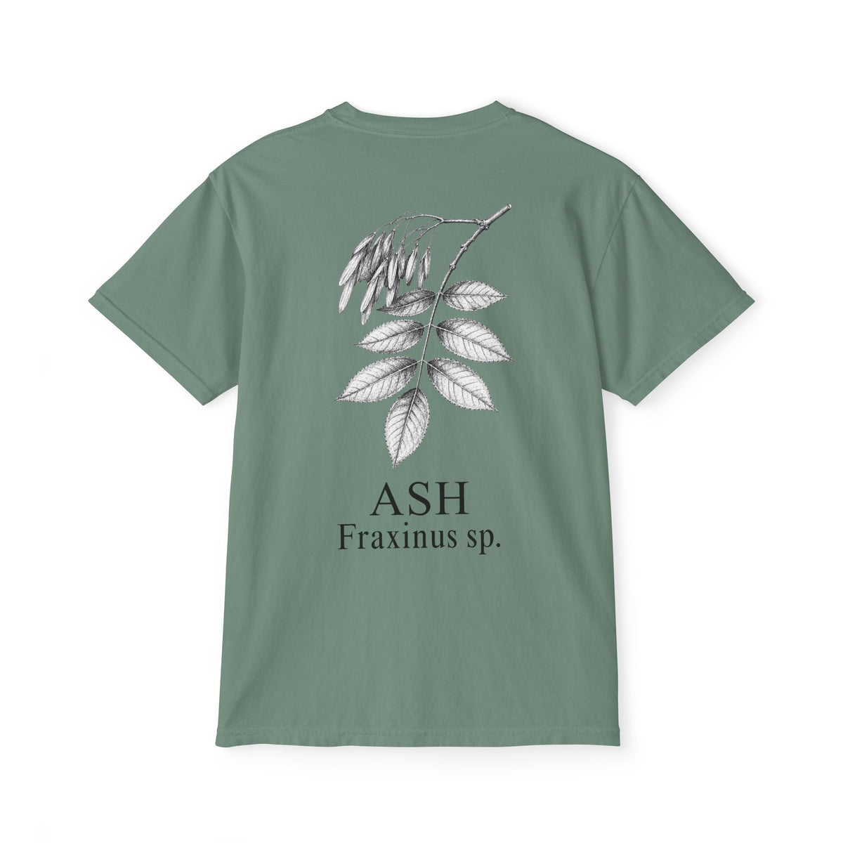 Ash Pocket Tee - Sample Series