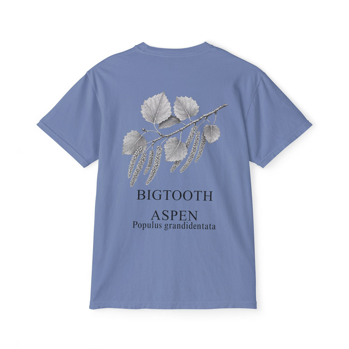 Bigtooth Aspen Pocket Tee - Sample Series