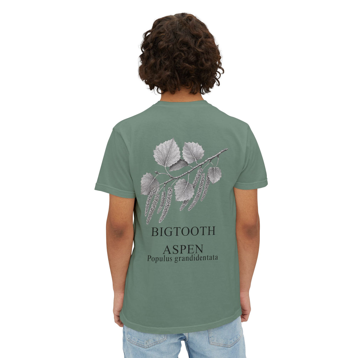 Bigtooth Aspen Pocket Tee - Sample Series