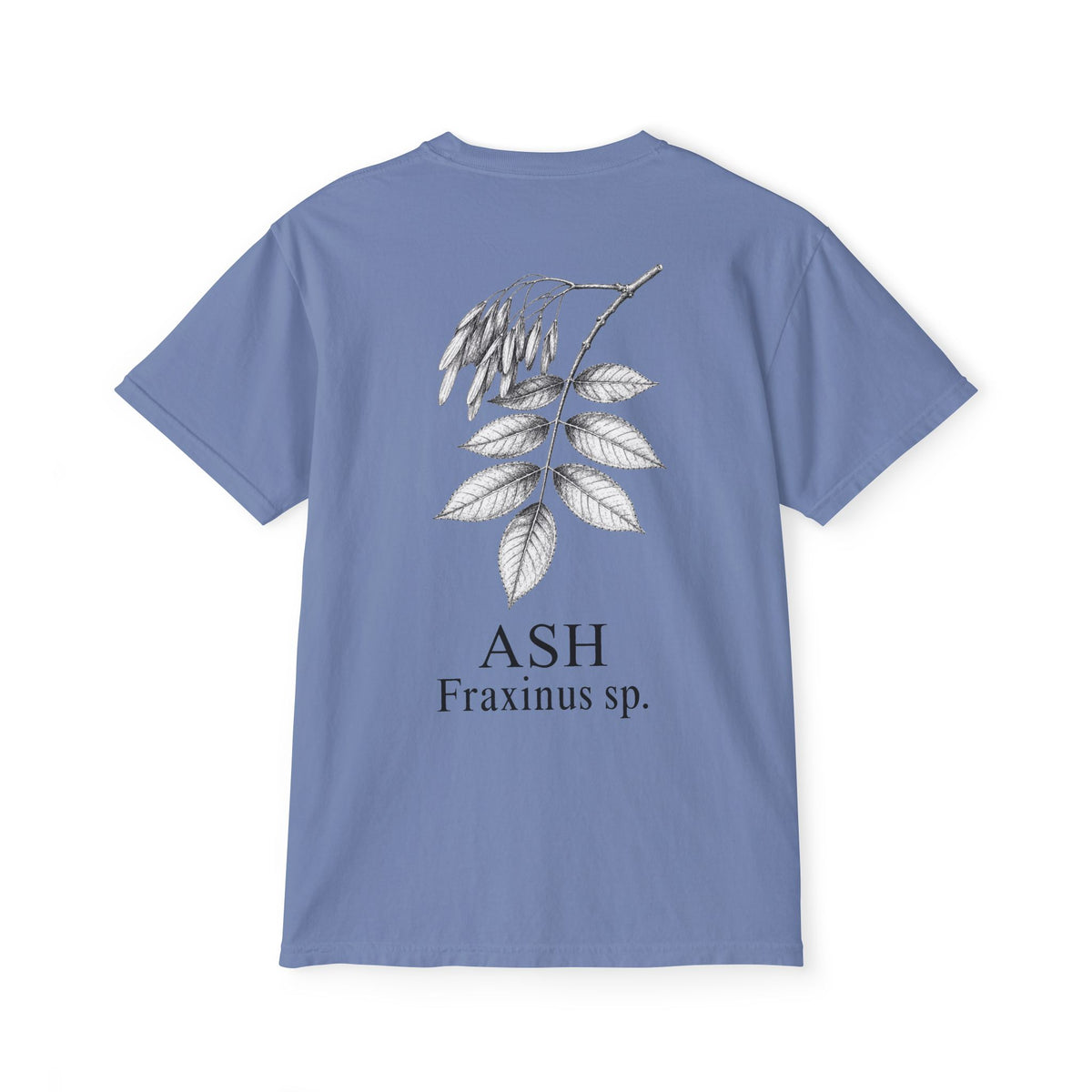 Ash Pocket Tee - Sample Series