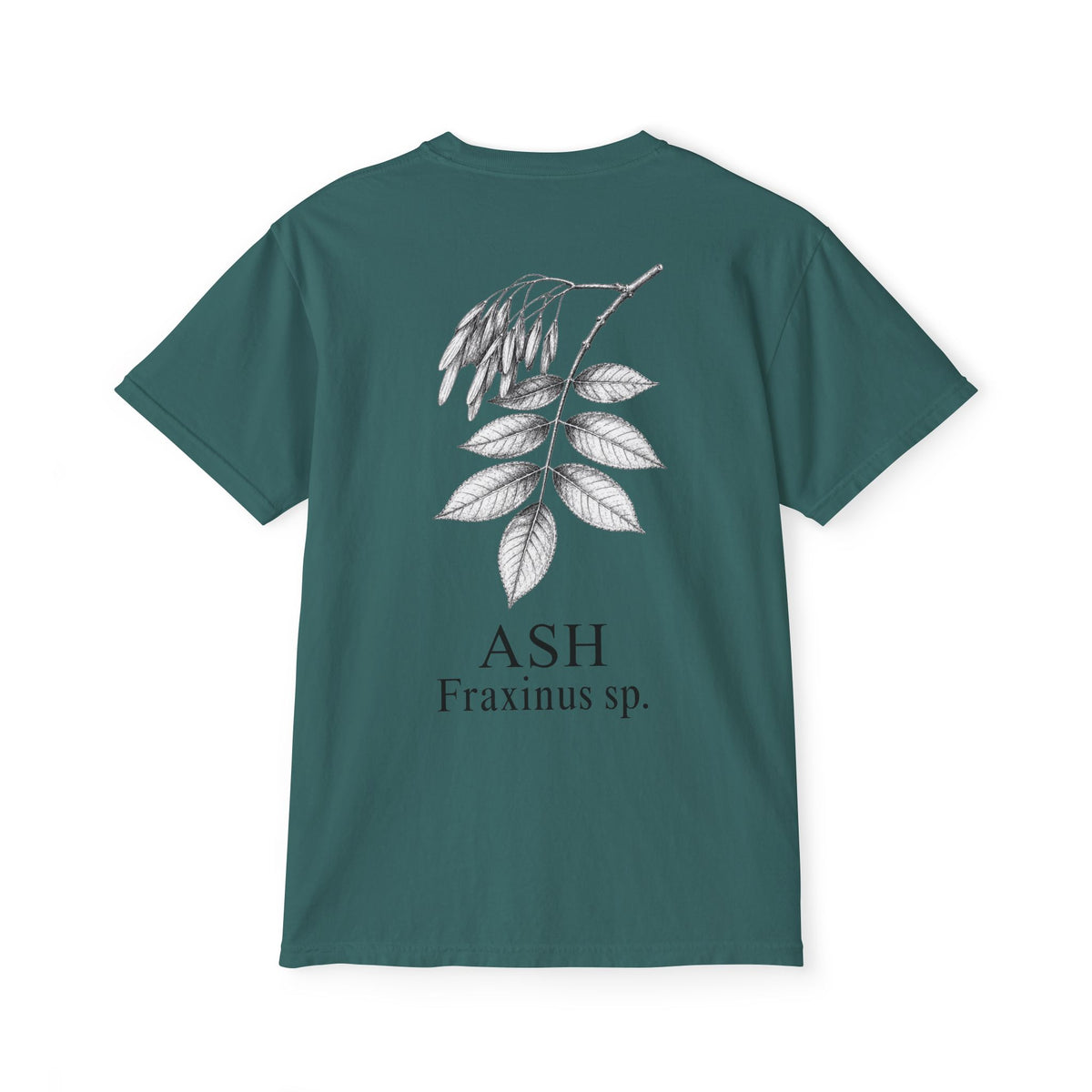 Ash Pocket Tee - Sample Series