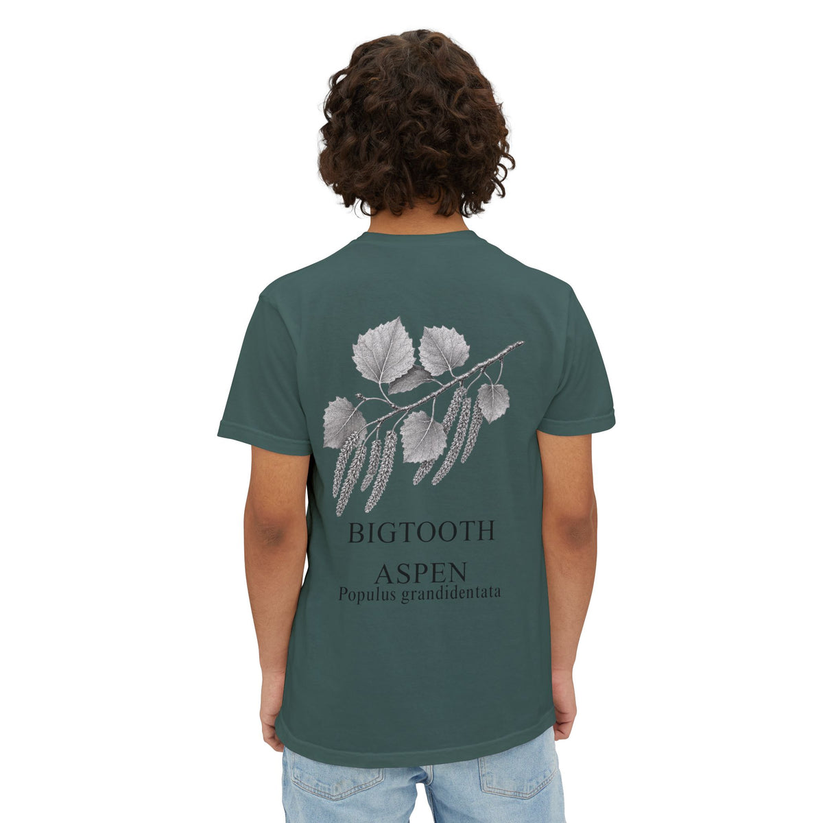 Bigtooth Aspen Pocket Tee - Sample Series