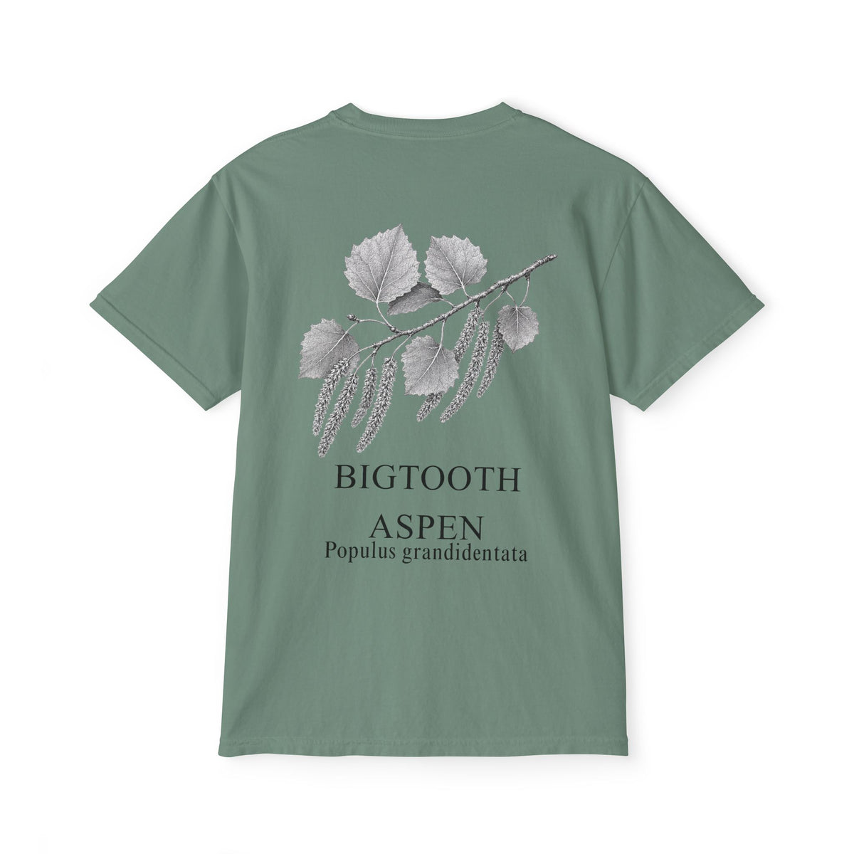 Bigtooth Aspen Pocket Tee - Sample Series