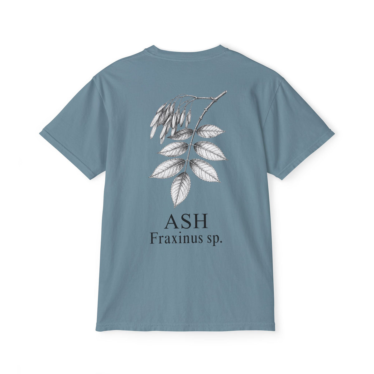 Ash Pocket Tee - Sample Series