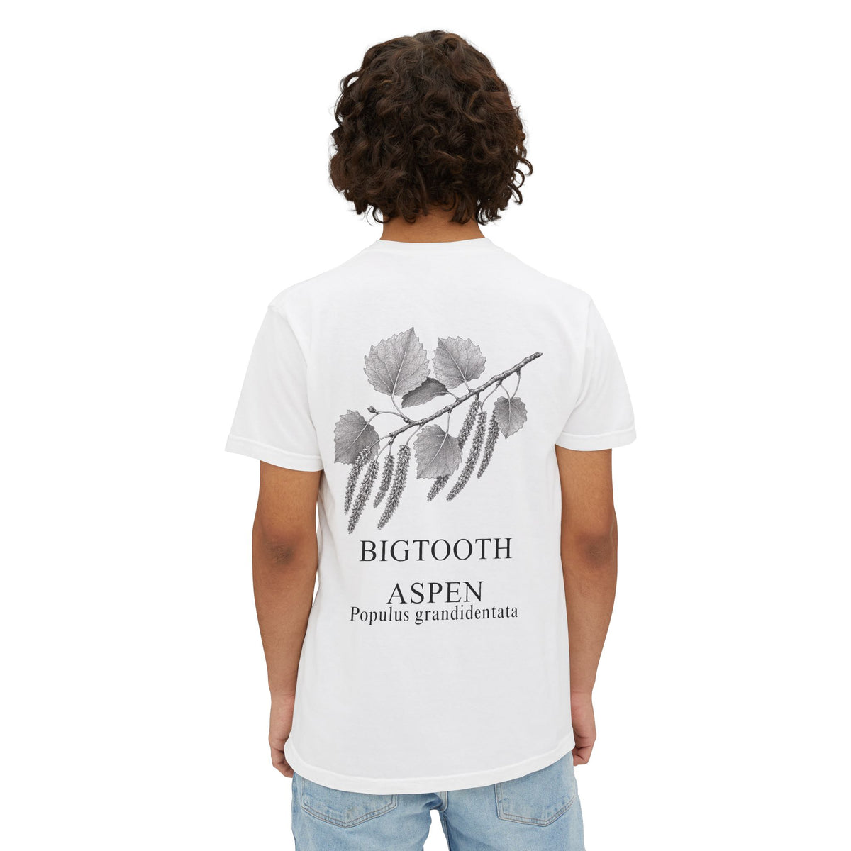 Bigtooth Aspen Pocket Tee - Sample Series