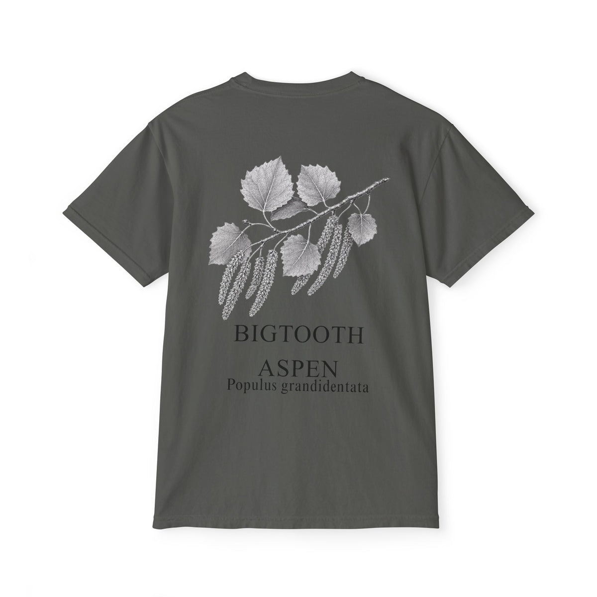 Bigtooth Aspen Pocket Tee - Sample Series