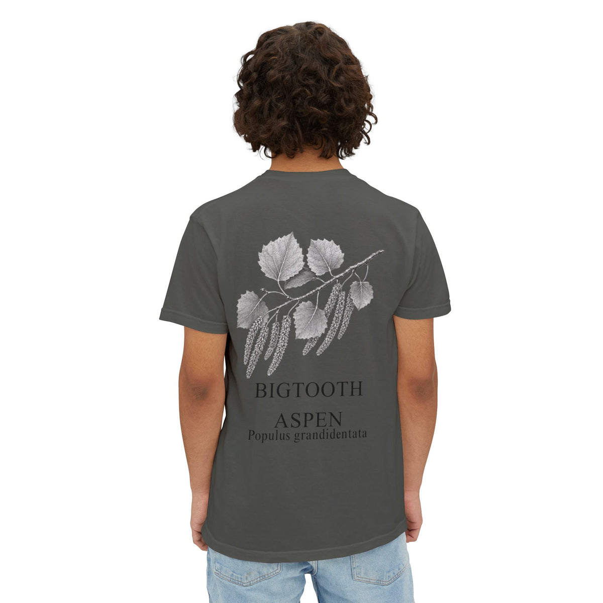 Bigtooth Aspen Pocket Tee - Sample Series