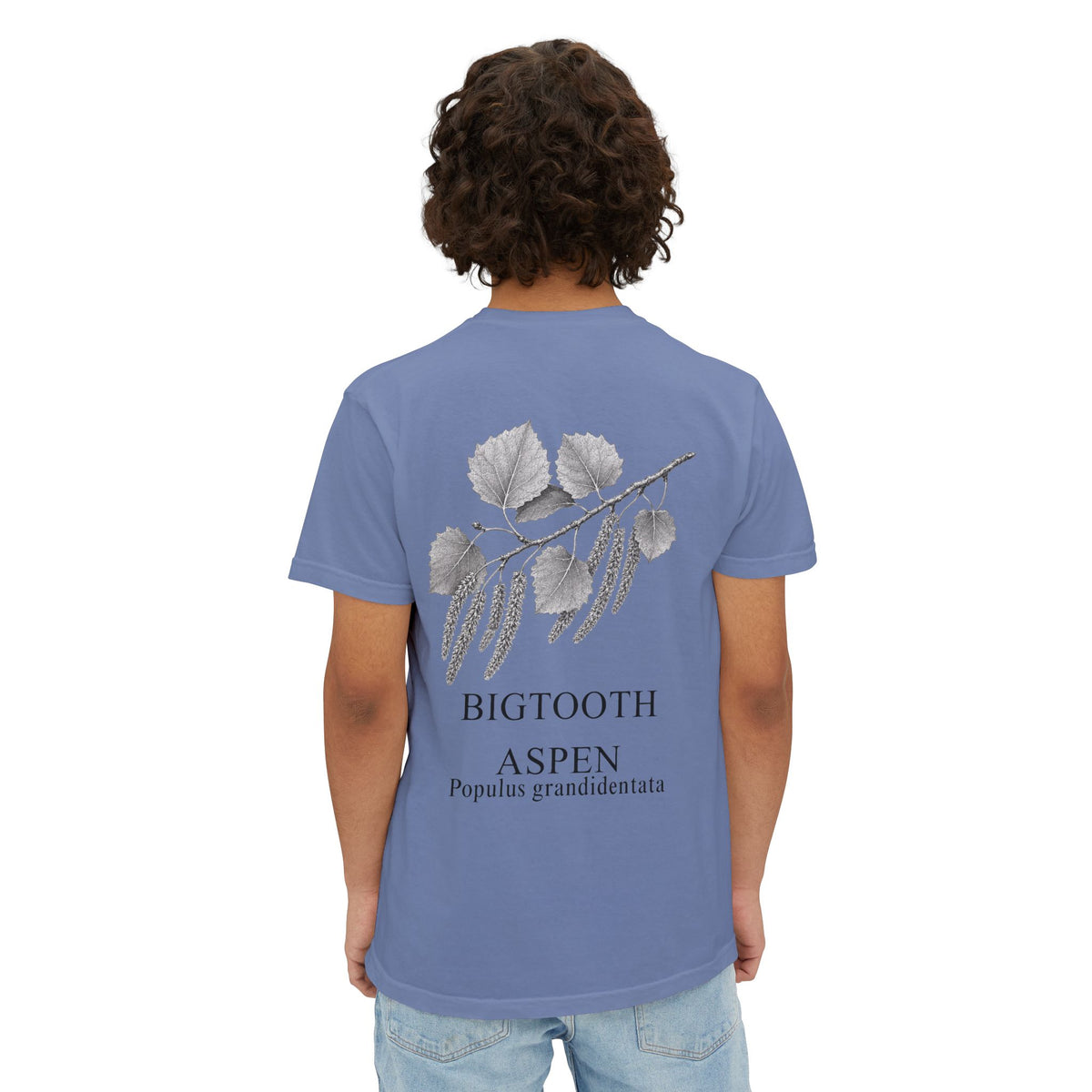 Bigtooth Aspen Pocket Tee - Sample Series
