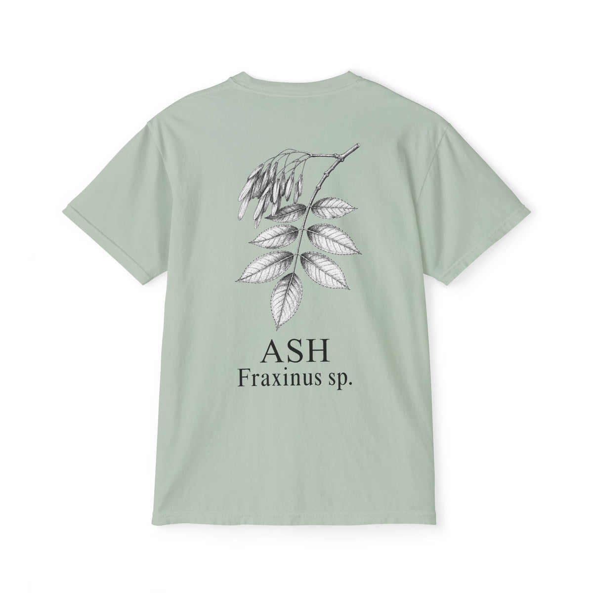 Ash Pocket Tee - Sample Series