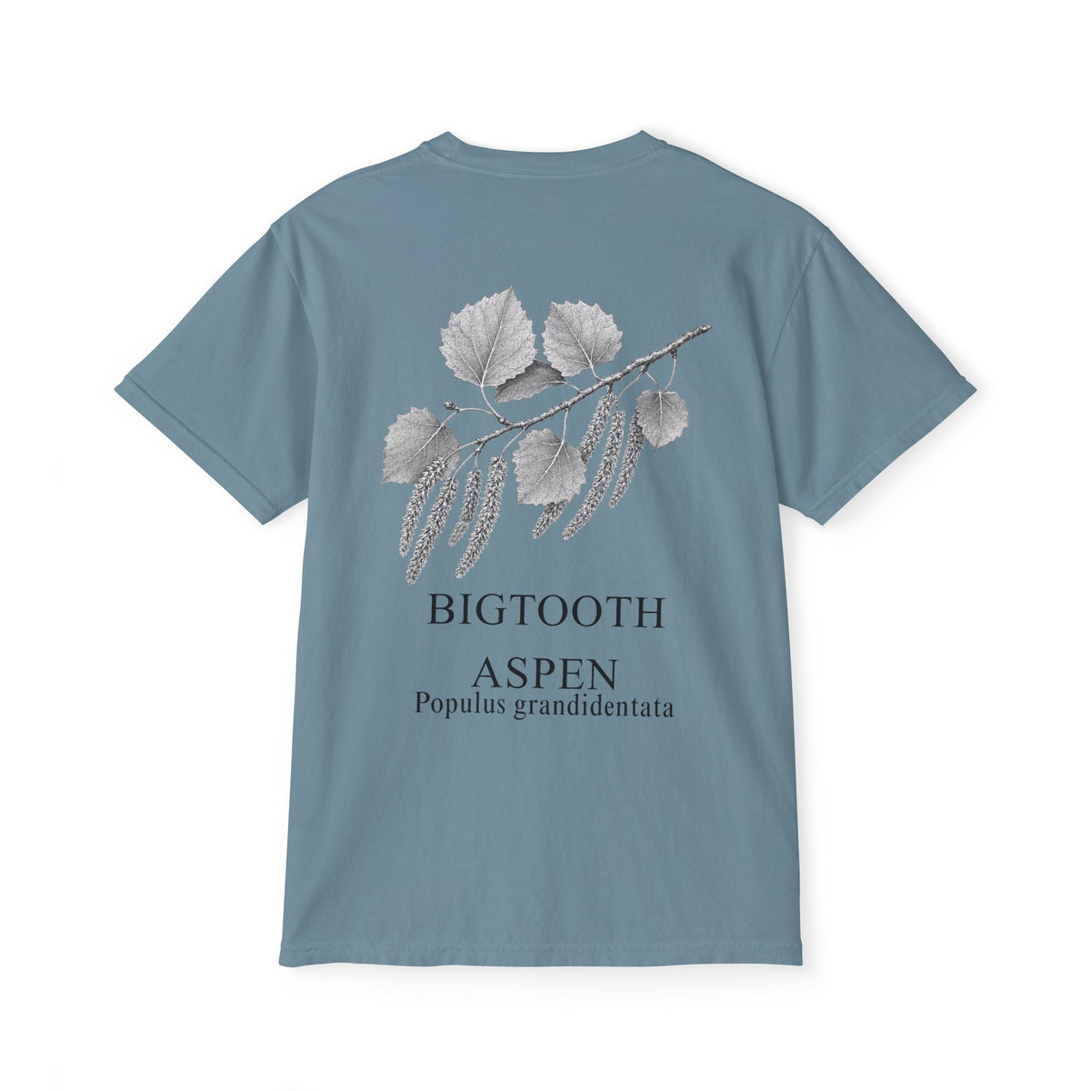 Bigtooth Aspen Pocket Tee - Sample Series