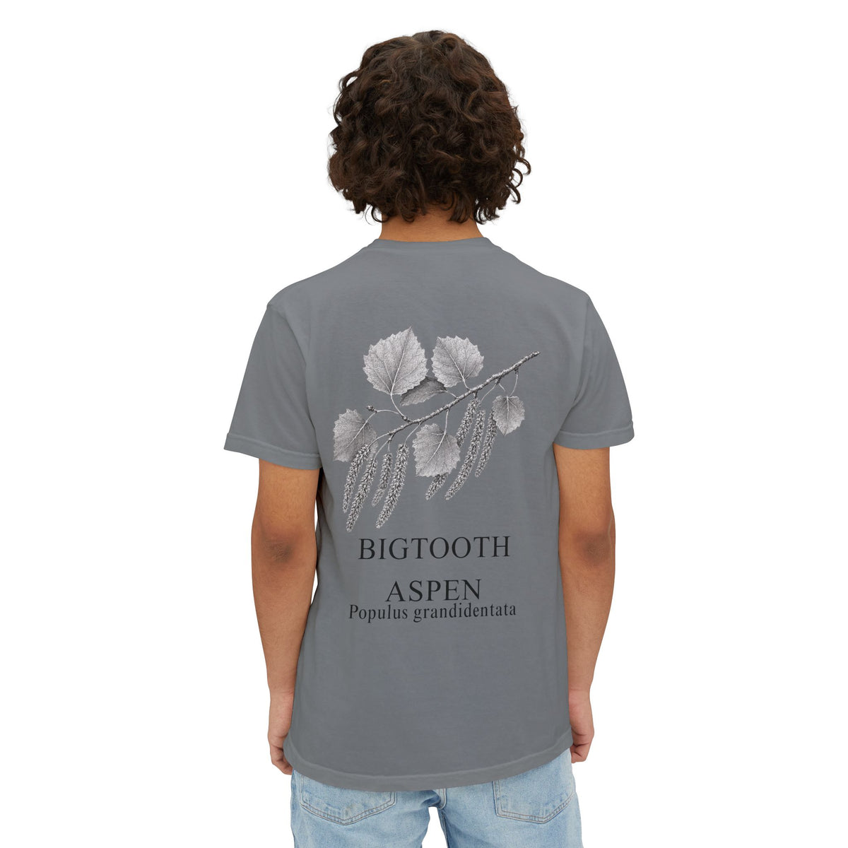 Bigtooth Aspen Pocket Tee - Sample Series