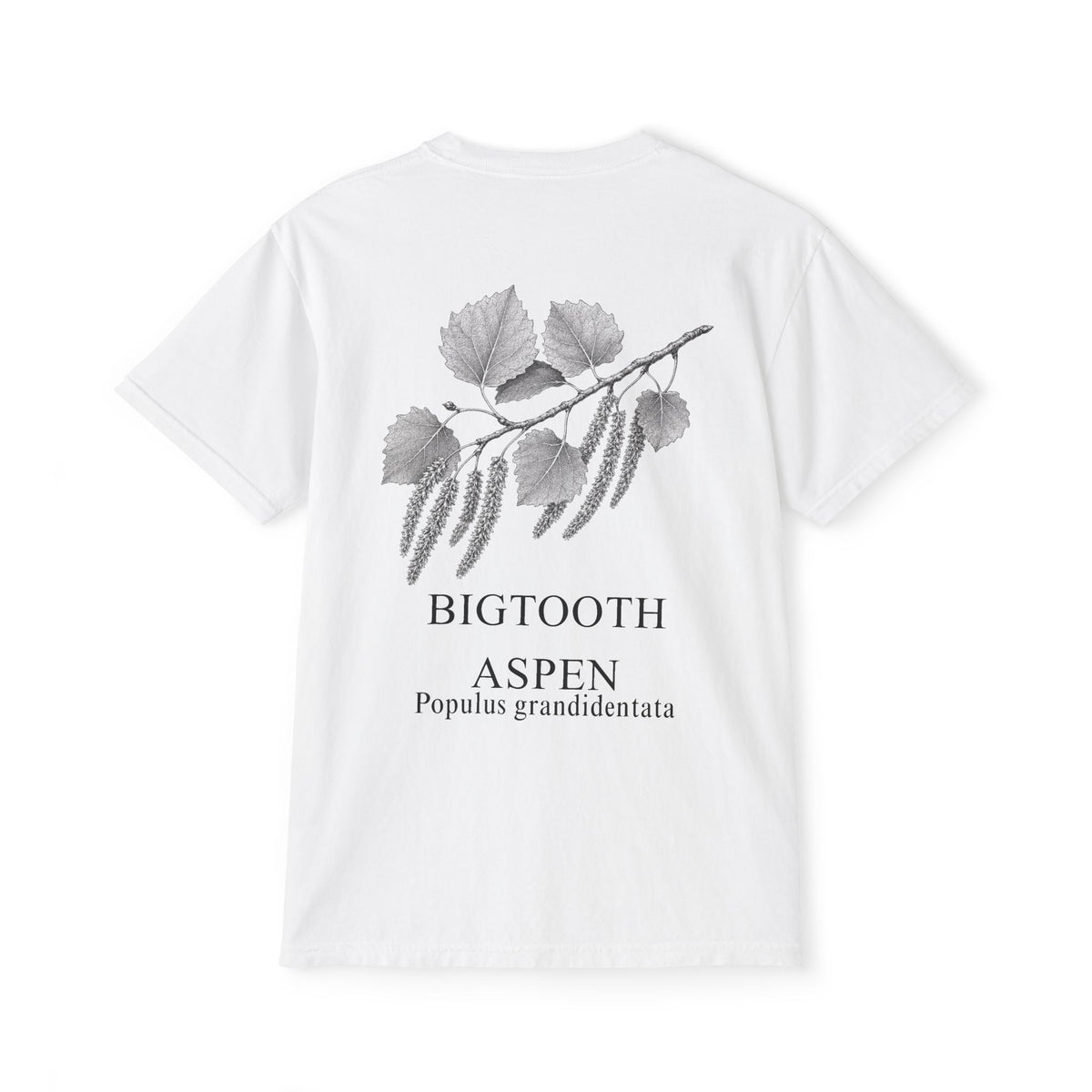 Bigtooth Aspen Pocket Tee - Sample Series