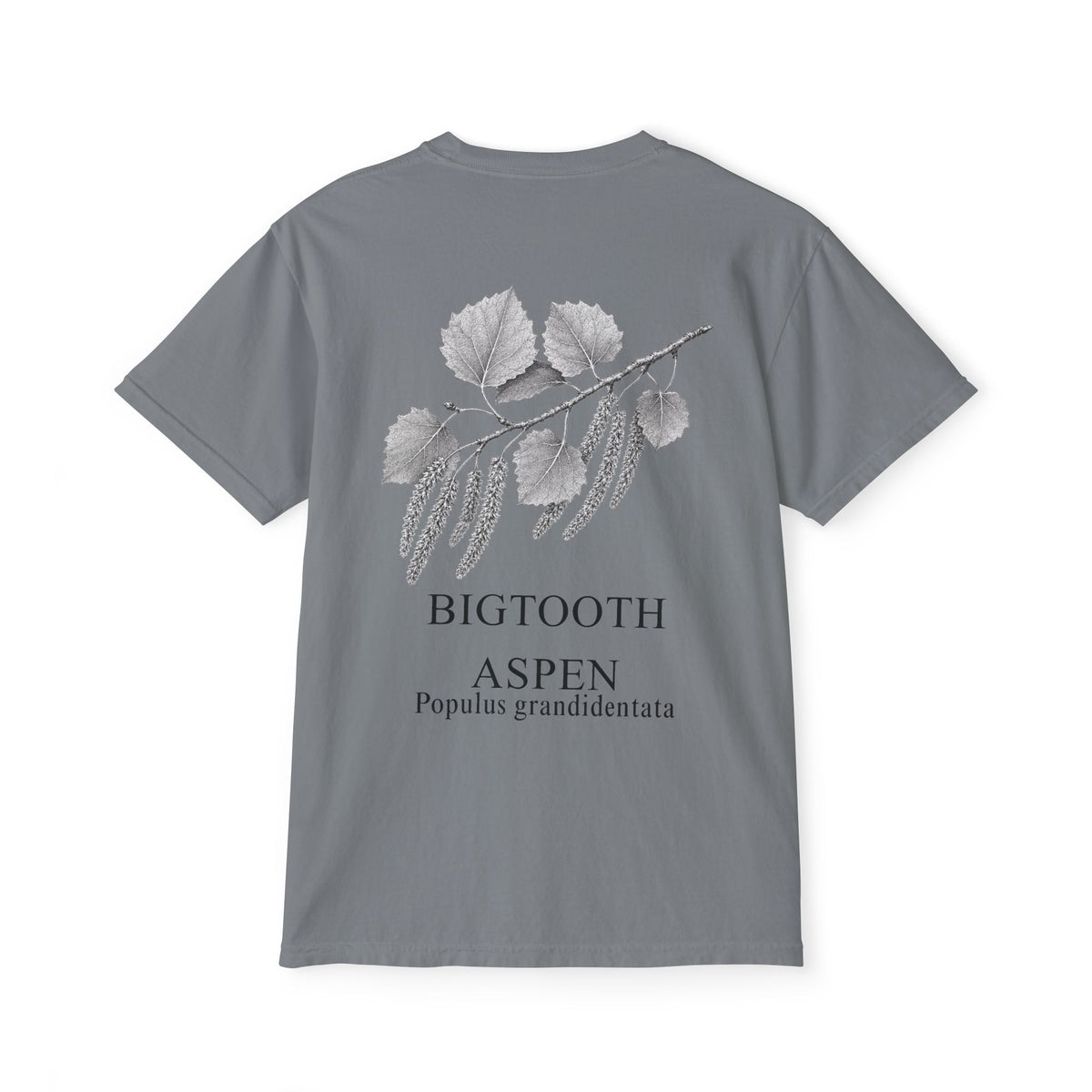 Bigtooth Aspen Pocket Tee - Sample Series