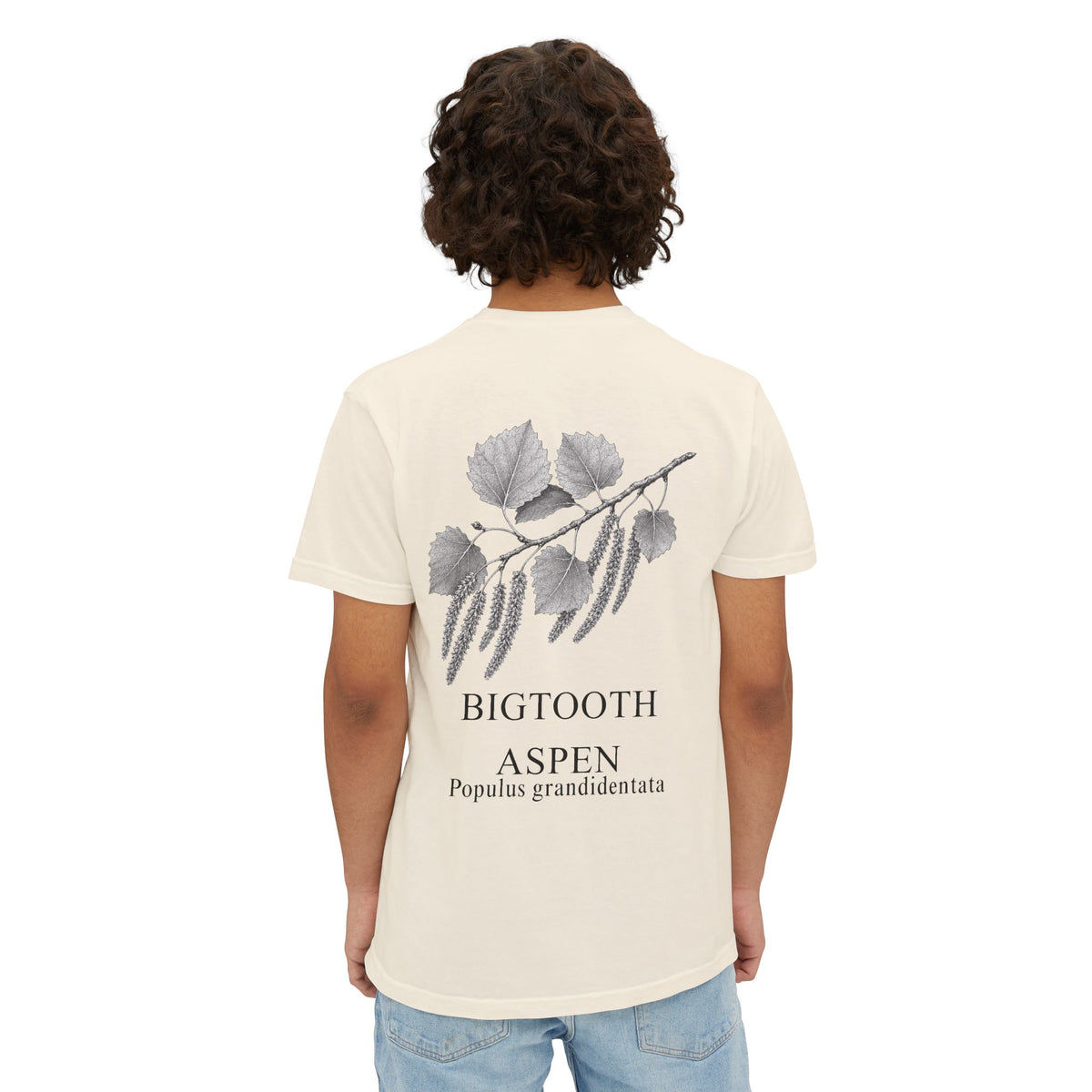 Bigtooth Aspen Pocket Tee - Sample Series