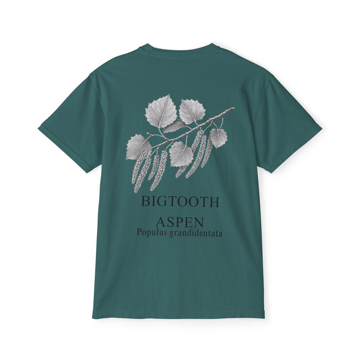 Bigtooth Aspen Pocket Tee - Sample Series