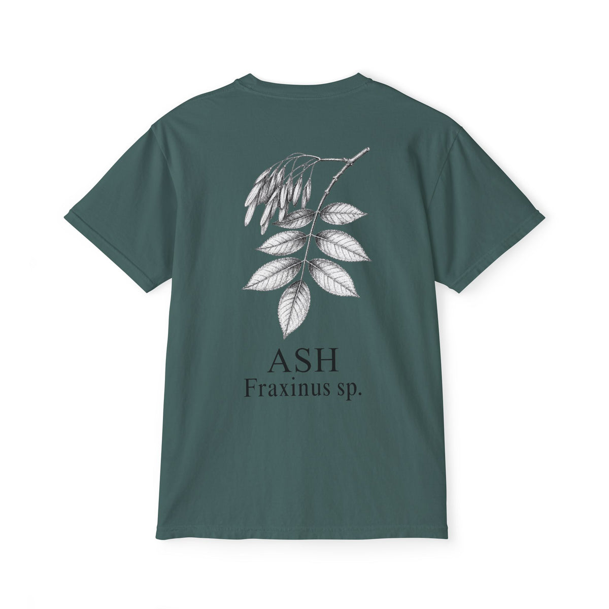 Ash Pocket Tee - Sample Series
