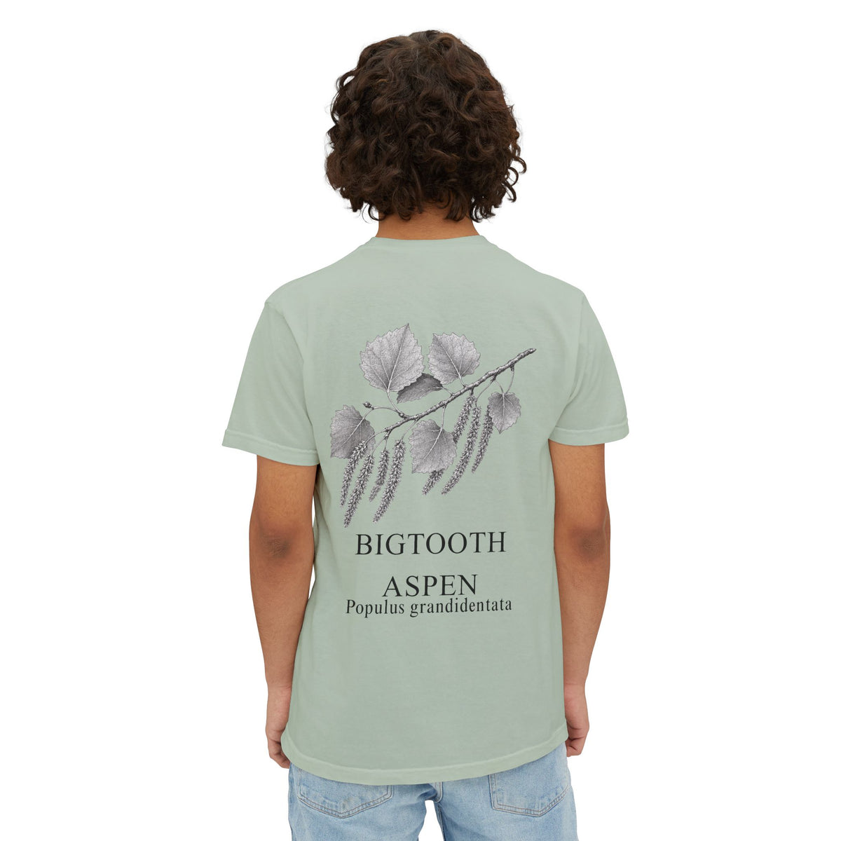 Bigtooth Aspen Pocket Tee - Sample Series