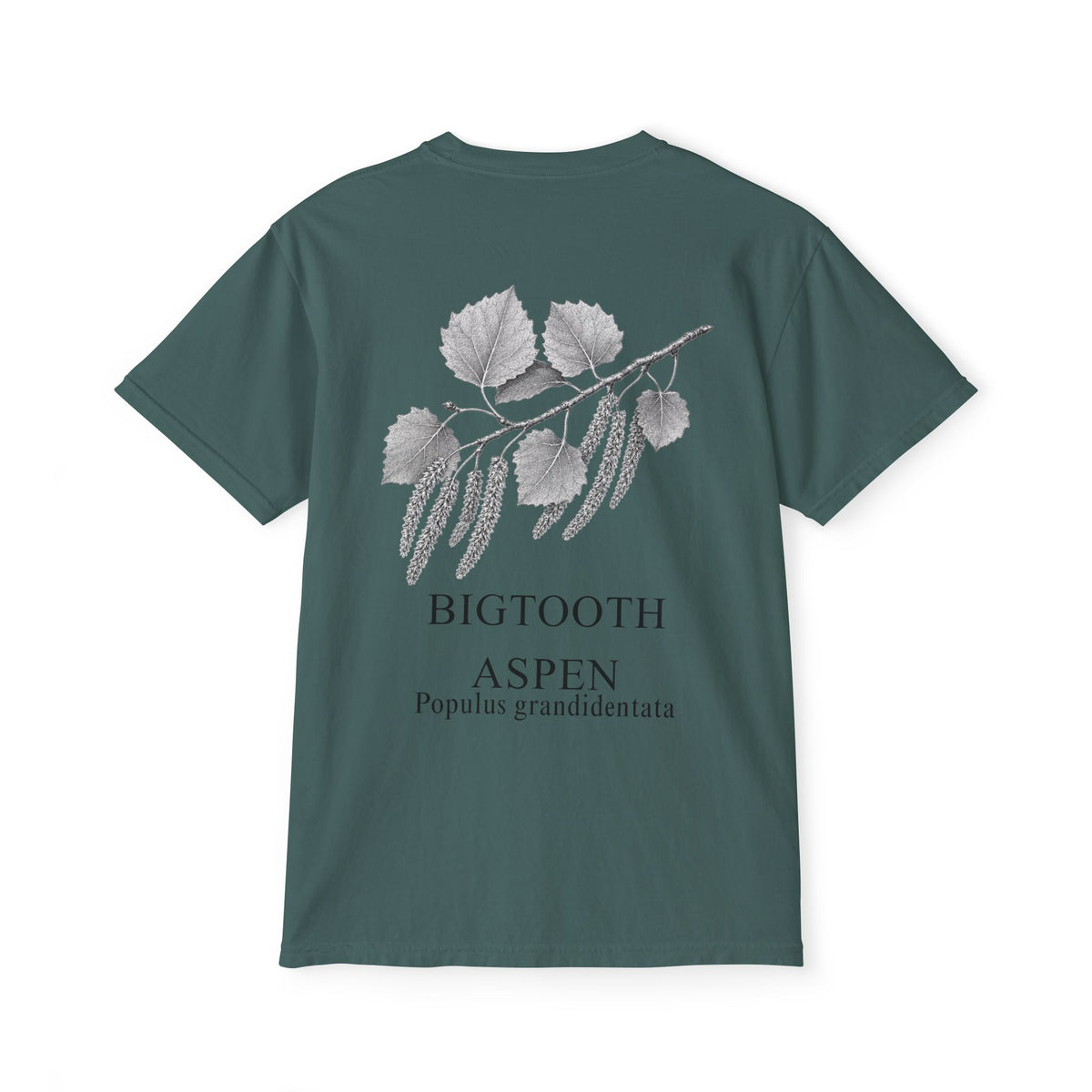 Bigtooth Aspen Pocket Tee - Sample Series