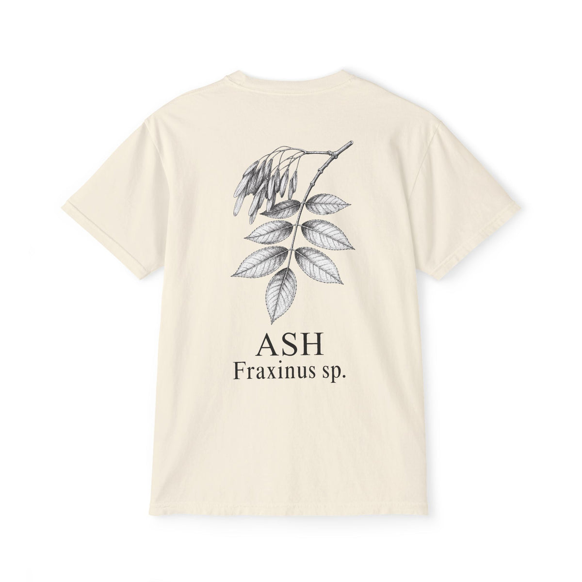Ash Pocket Tee - Sample Series